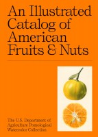 https://www.p-u-n-c-h.ro/files/gimgs/th-1_an-illustrated-catalog-of-american-fruits-nuts-49.jpg